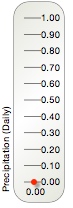 Daily rain gauge